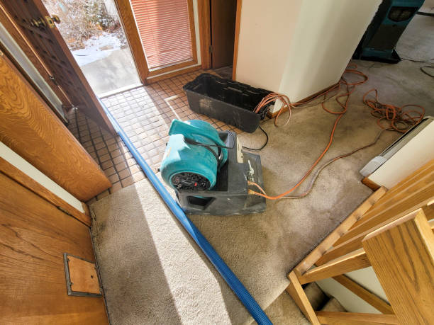 Best Mold removal after water damage  in Mbrian Park, CA
