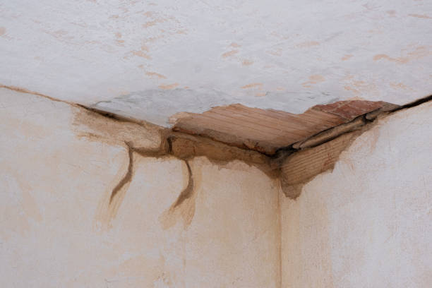 Best Professional water damage repair  in Mbrian Park, CA