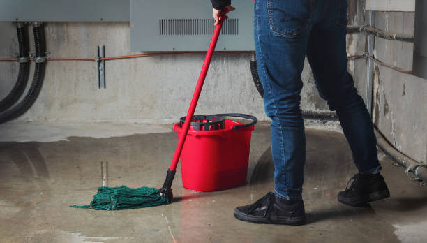  Mbrian Park, CA Water damage restoration Pros