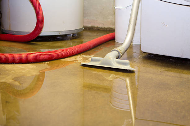Best Basement water damage restoration  in Mbrian Park, CA