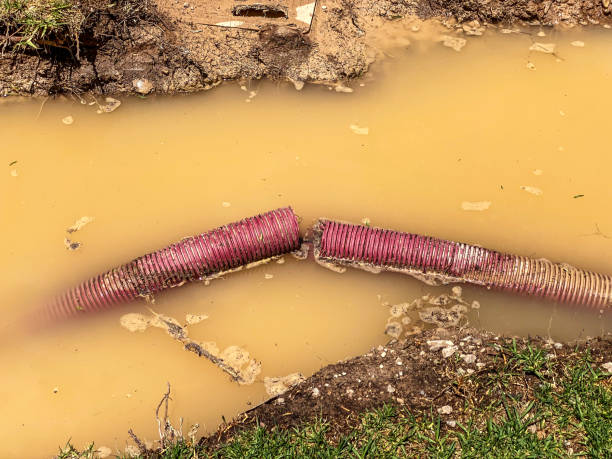 Best Sewage cleanup and water damage restoration  in Mbrian Park, CA